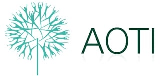 association of occupational therapists of ireland